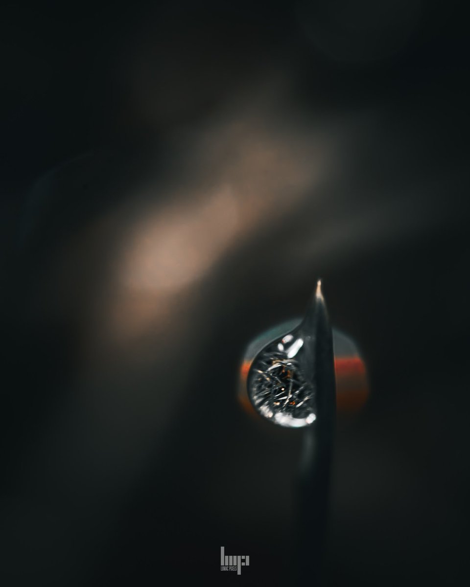 monkbonk's tweet image. Good night #DarkEdition