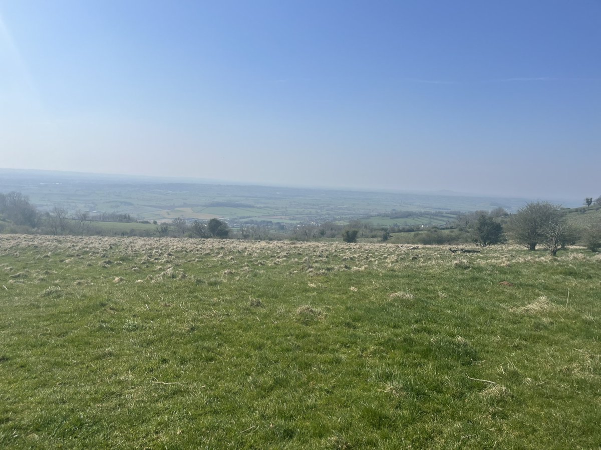 Hanham Woods D of E tweet media