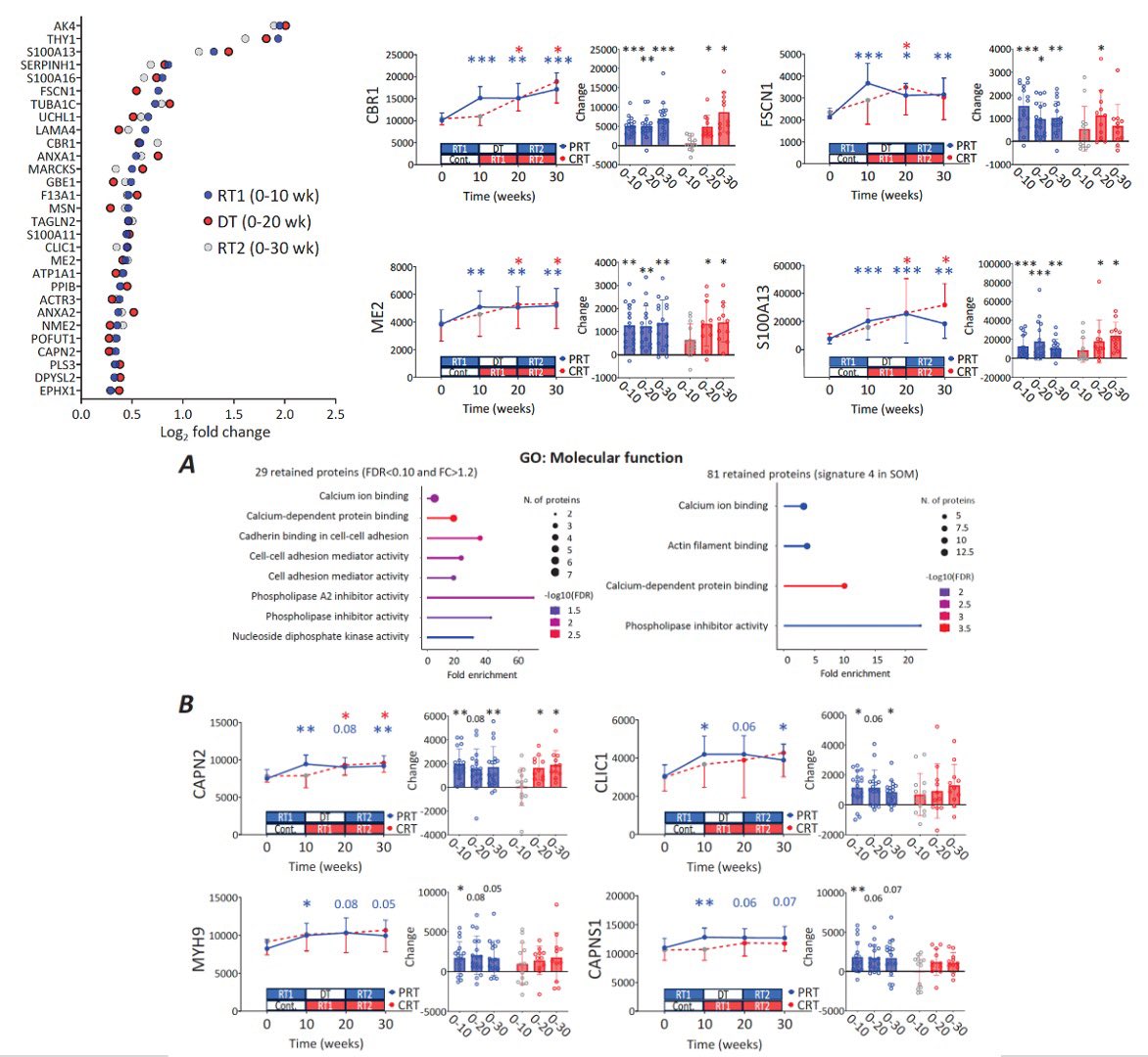 Professor Adam Sharples (@dradampsharples) on Twitter photo New! <a href="/JPhysiol/">Journal of Physiology</a>
Proteomics of training, detraining & retraining.
Reproducible changes in metabolic proteins.
Retained changes in cytoskeletal & calcium binding proteins from training remain elevated after detraining
Muscle-memory at the protein level!
physoc.onlinelibrary.wiley.com/doi/full/10.11… New! <a href="/JPhysiol/">Journal of Physiology</a>
Proteomics of training, detraining & retraining.
Reproducible changes in metabolic proteins.
Retained changes in cytoskeletal & calcium binding proteins from training remain elevated after detraining
Muscle-memory at the protein level!
physoc.onlinelibrary.wiley.com/doi/full/10.11…