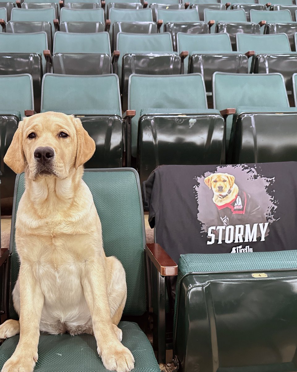 Adirondack Thunder tweet media