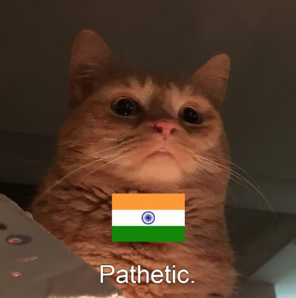 RT_India tweet media