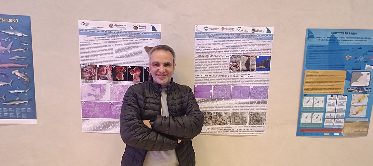 Ayoze Castro tweet media