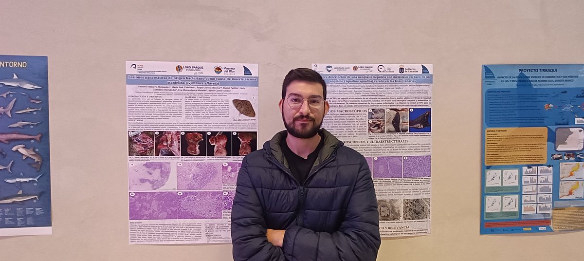 Ayoze Castro tweet media