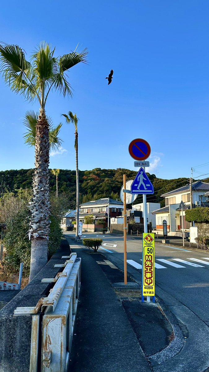 3svn_'s tweet photo. Souvenirs de Shirahama 🇯🇵 https://t.co/C8pfMVR0BY