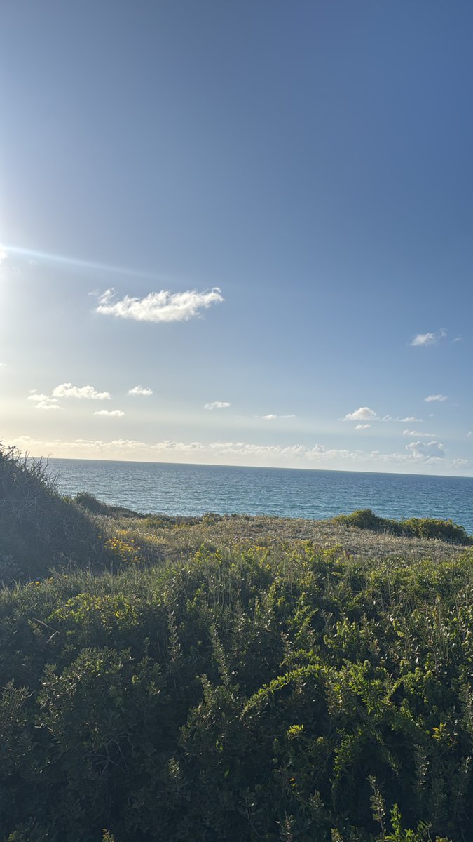 #פידטיולים
שבת שלום 🕯️