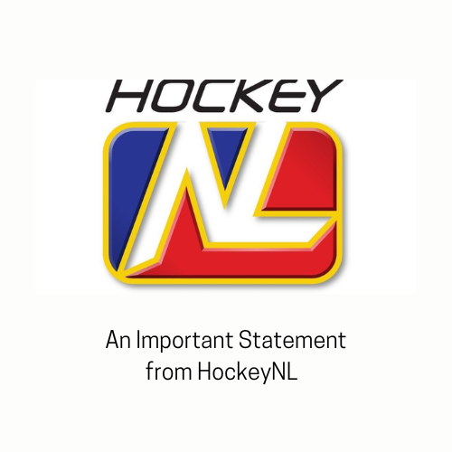 Hockey NL tweet media