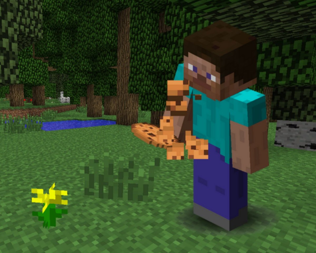 double chunk chocolate cookie - Minceraft (2009)