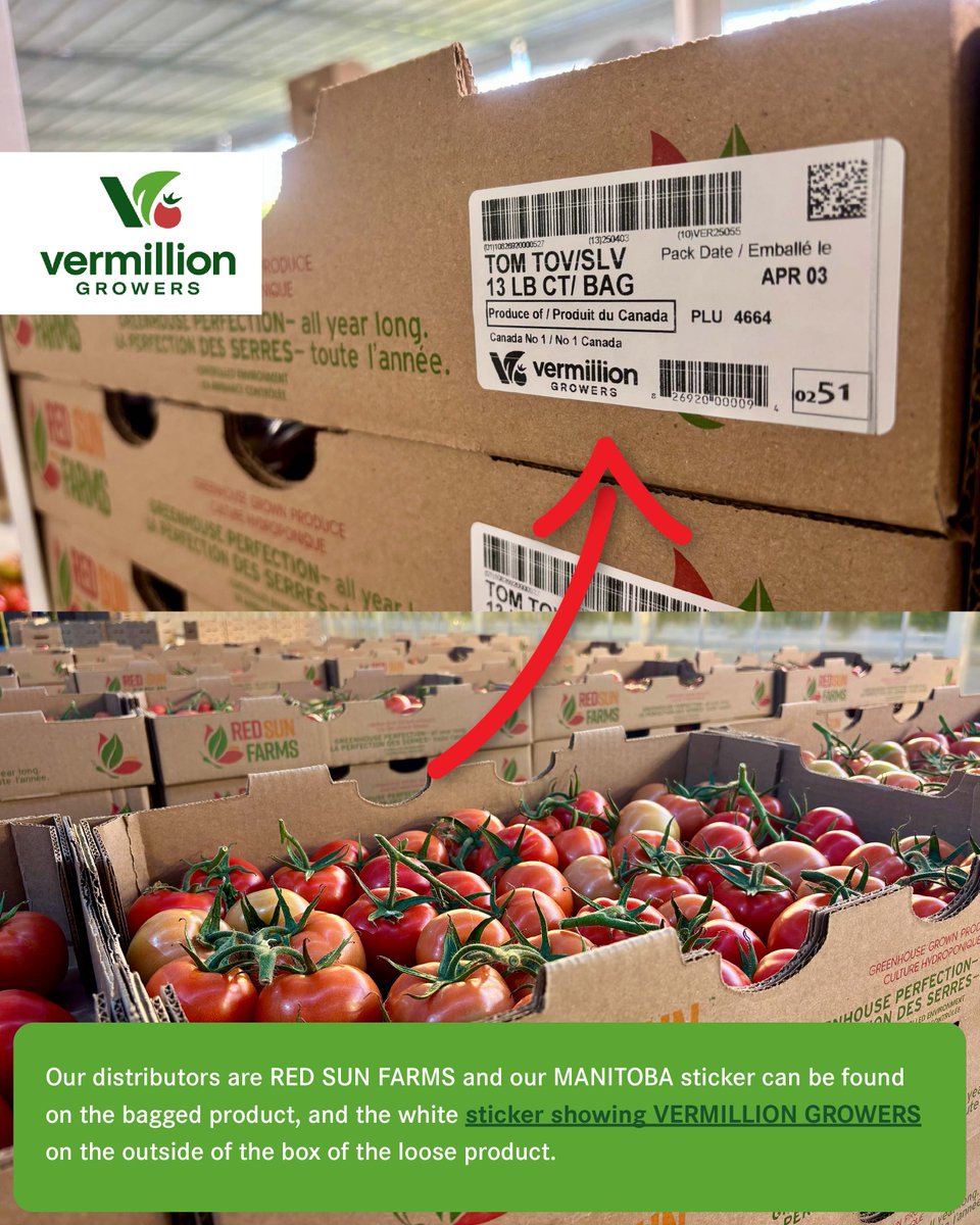 Thank you for searching high and low for our tomatoes! Our tomatoes can be found in various stores across the prairies! We are growing both the TOV’s (Tomato on the Vine) and Roma’s this year – so you may find either!