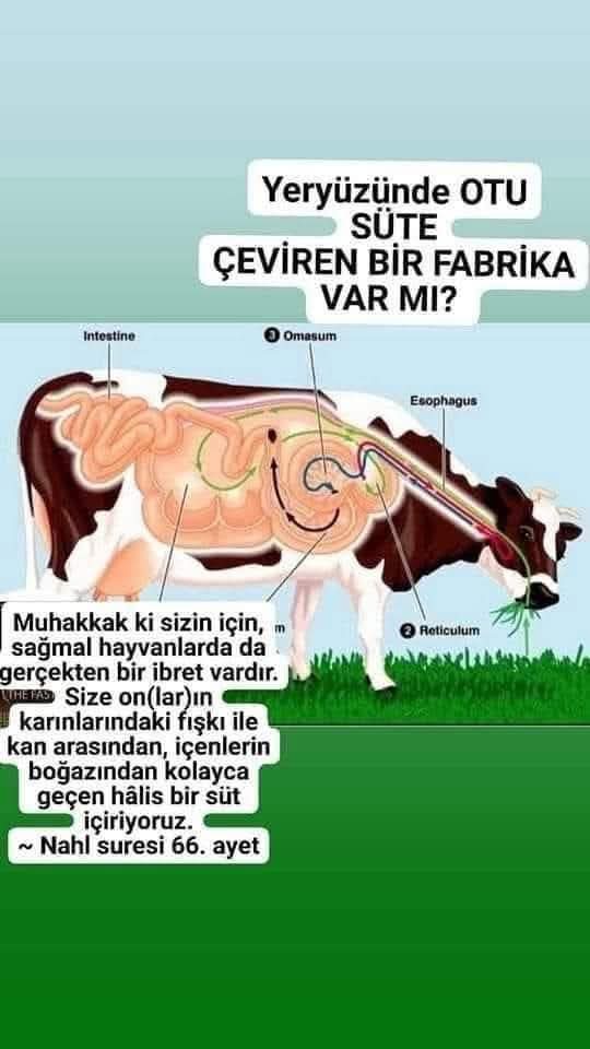 Binler şükür Rabbimize...