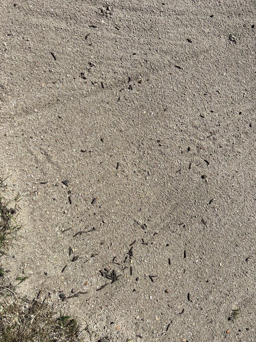 John Hockley tweet media