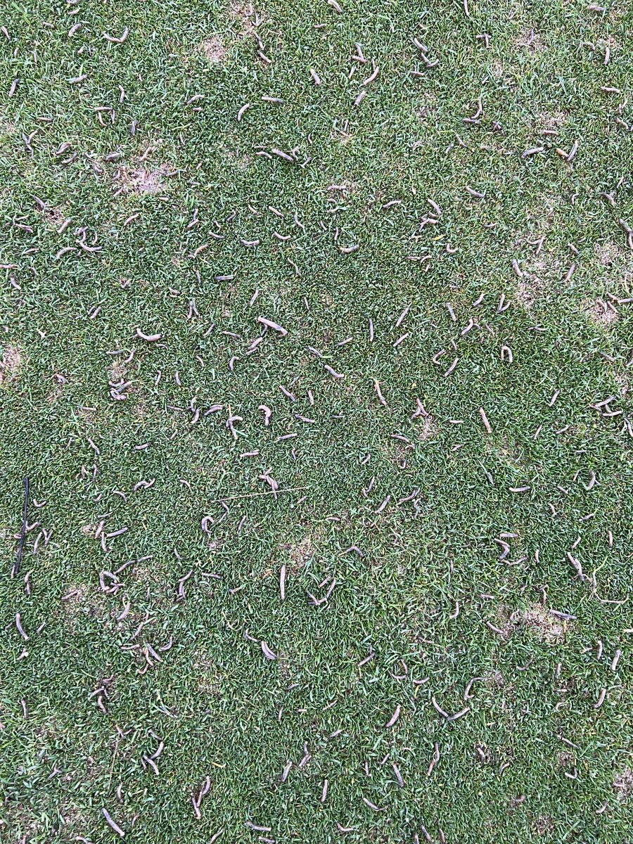 John Hockley tweet media