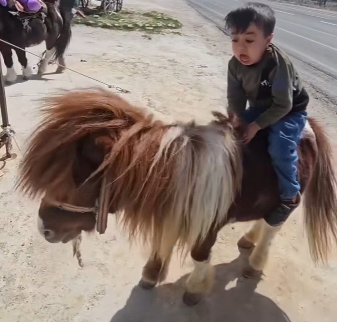 DUNYANIN EN KOMIK FOTOGRAFI AGLICAM NASIL KORKMUS COCUK PQLDL1LXLWLSL1KFJDJCKWKVMENCJ