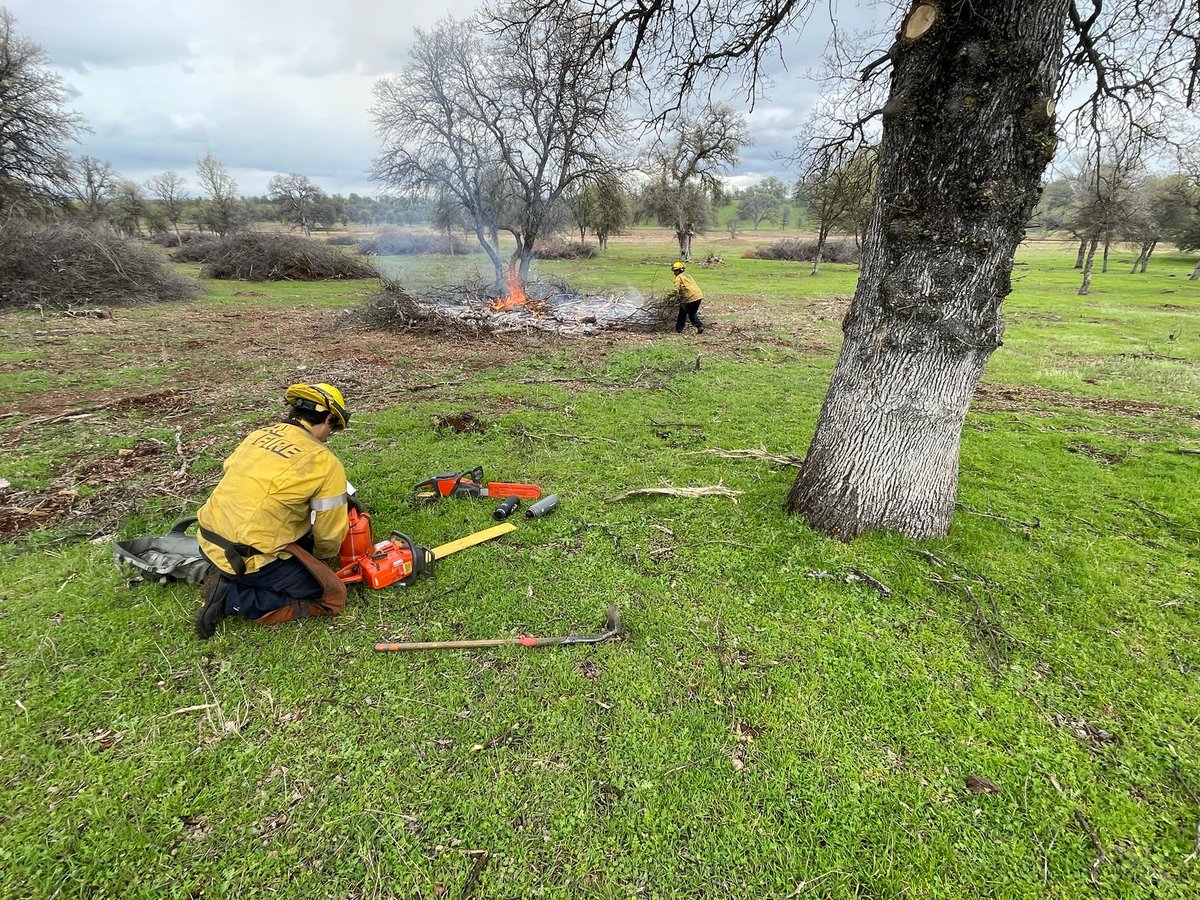 CALFIRETGU's tweet photo. Firefighters continue to work on fuel reduction projects around Tehama and Glenn Counties.
Did you know that managing our wildlands by reducing forest fuels is crucial for preventing devastating wildfires?
https://t.co/Pr1G1CAfsr
#CALFIRETGU2025 #ReadyForWildfire #fuelsreduction https://t.co/z4IIRKIwGk