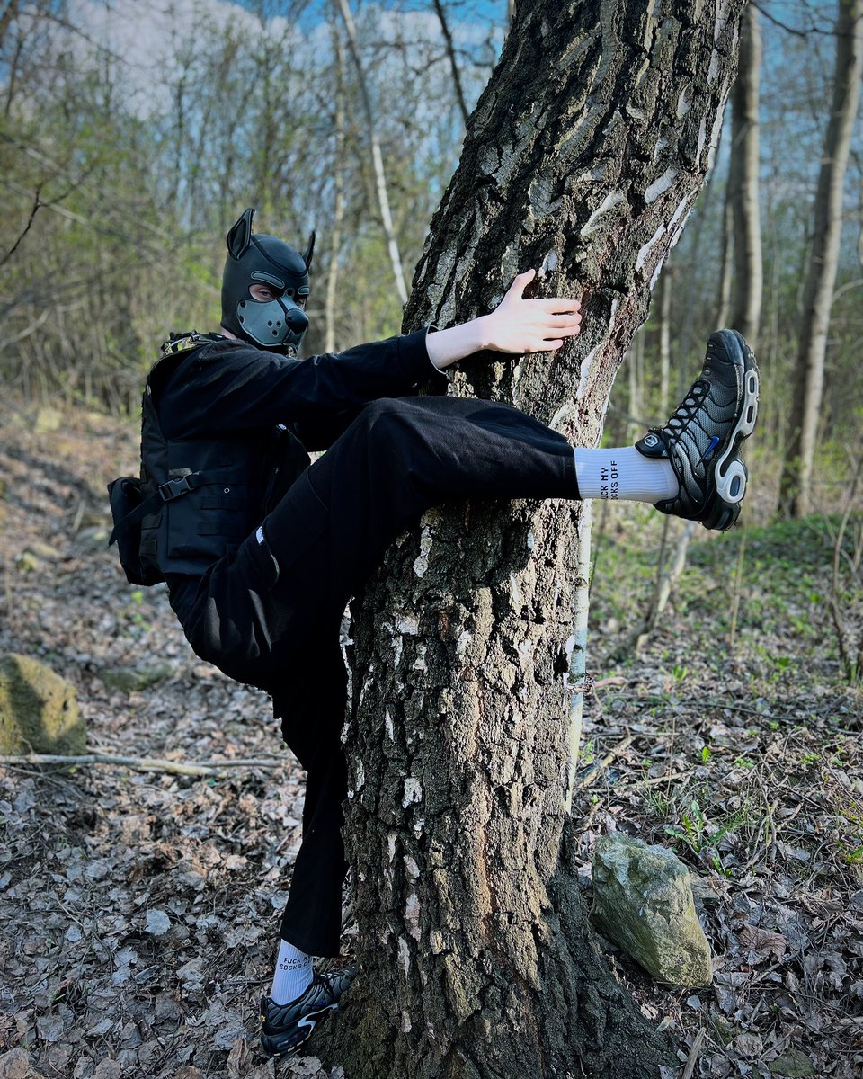 DipperWolfAD's tweet photo. 🌲<3 https://t.co/kp5VsCMYs7