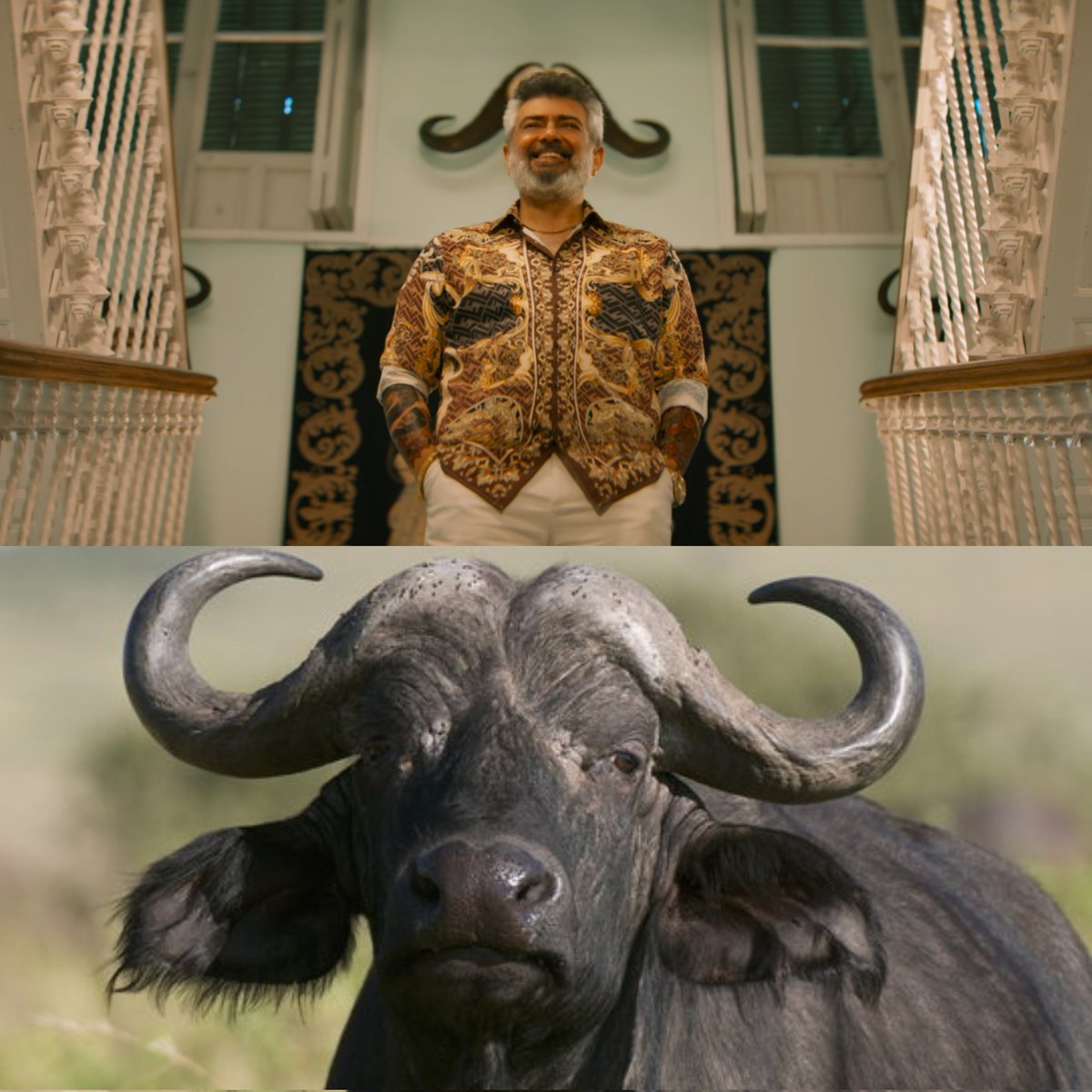 ParleG_untold's tweet photo. தல ய எரும மாடு Refrence ஓட connect பன்னிருக்கான் 🙌🏻💥

Peak Fan Boy @Adhikravi 🫡🙌🏻

#GoodBadUglyTrailer https://t.co/D2kFhPXSXZ