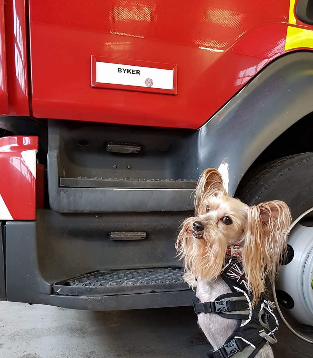 7 years ago Mr Tommy, yous did takes me to Byker Station. I did learns about pooh sticks and the UVC!
#MrPels #BarkshireFirefighter #BFF #Throwback #watersafety