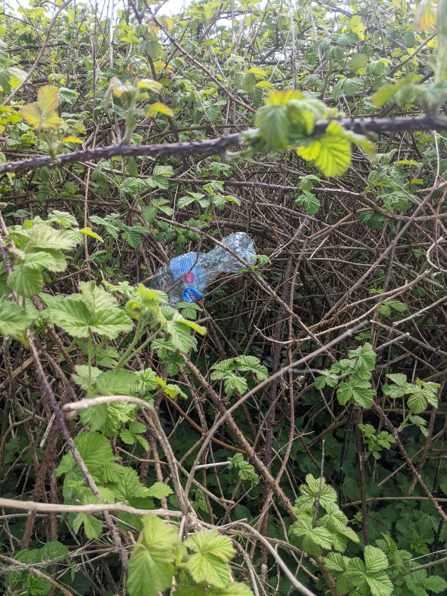 EricTorrington's tweet image. A #litterpickers @LlansteffanCas1 lowlight. A dog owner who likes their #coffee &amp;amp; discards #doggy poo bags. Highlight has to be castle &amp;amp; beach walk. Helping to @Keep_Wales_Tidy