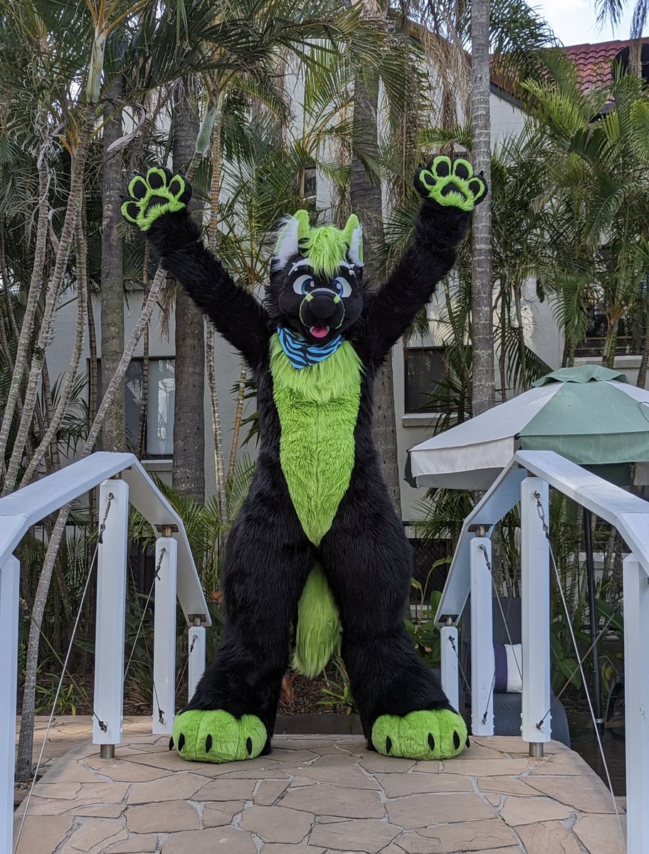 Whufffluff's tweet image. Having a great time at #FurDU25 this #FursuitFriday