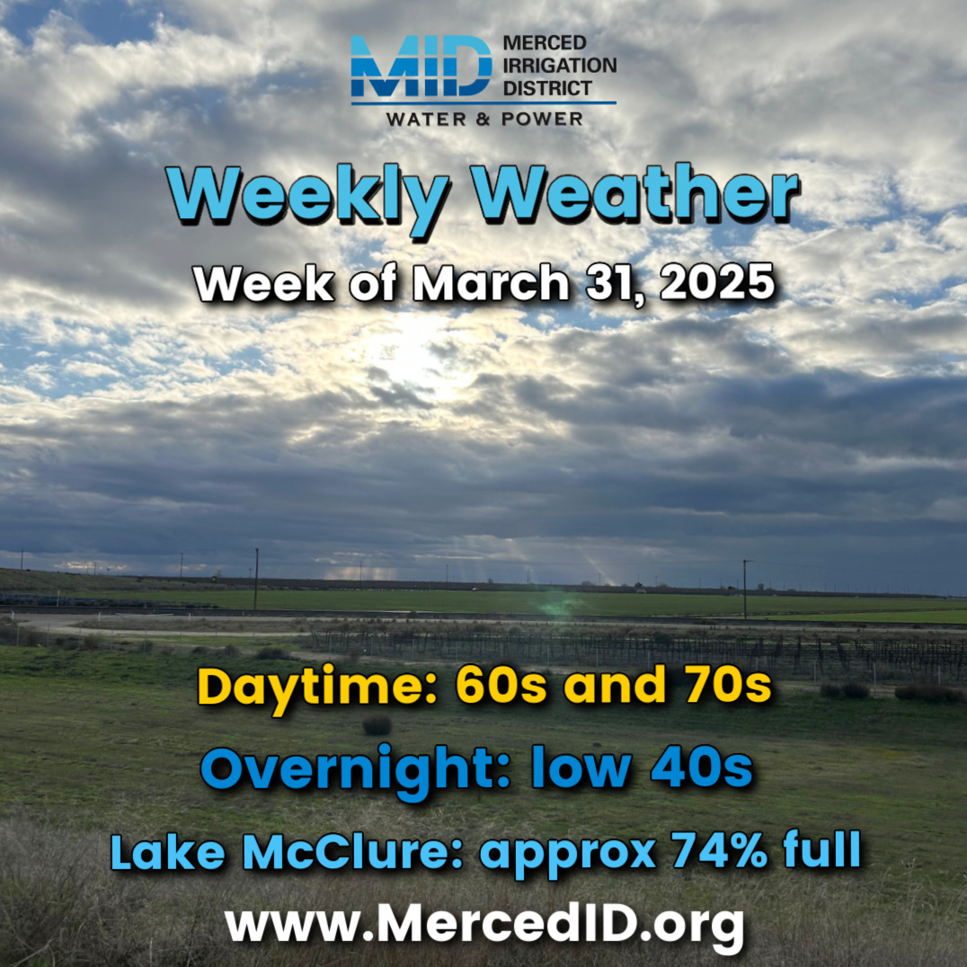 Merced ID (@merced_id) on Twitter photo 