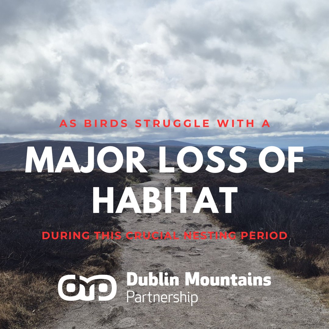 DubMountains's tweet photo. We Need Your Help! A recent hill fire near the Fairy Castle Loop Trail has made it crucial to keep your dog on a lead to protect ground-nesting birds 🐕‍🦺

The fire damaged their habitat, reducing nesting spots greatly. Please stay on trails and keep your dog on a lead 🙏🏽 https://t.co/0sDRzkHP4y