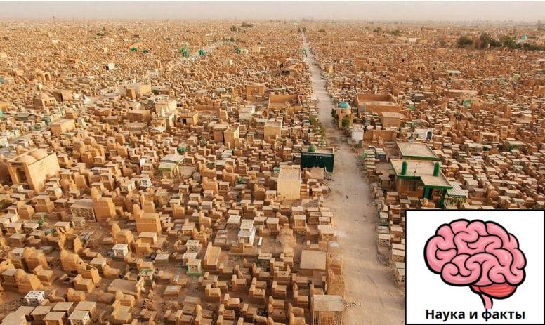 Garaev Ruslan tweet media