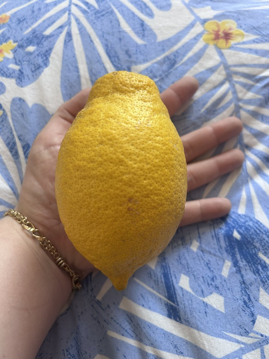 Fleur 🌸🌺 tweet media