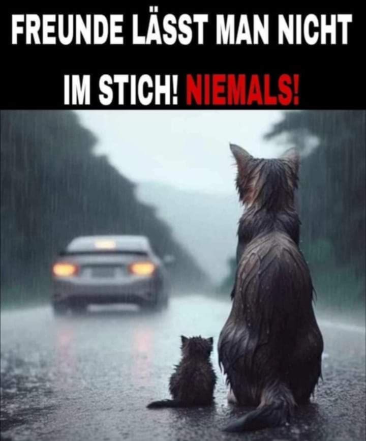 FREUNDE LÄSST MAN NICHT IM STICH! NIEMALS!!!
