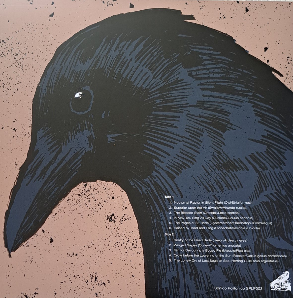 Available today at Bandcamp &amp; Solido Polifonico - A Colloquy of Birds with Gayle Brogan.