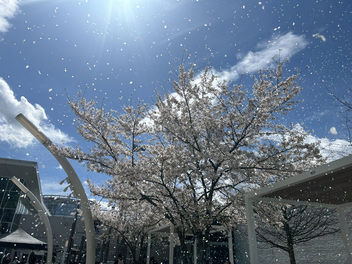 Holly Seibold tweet media