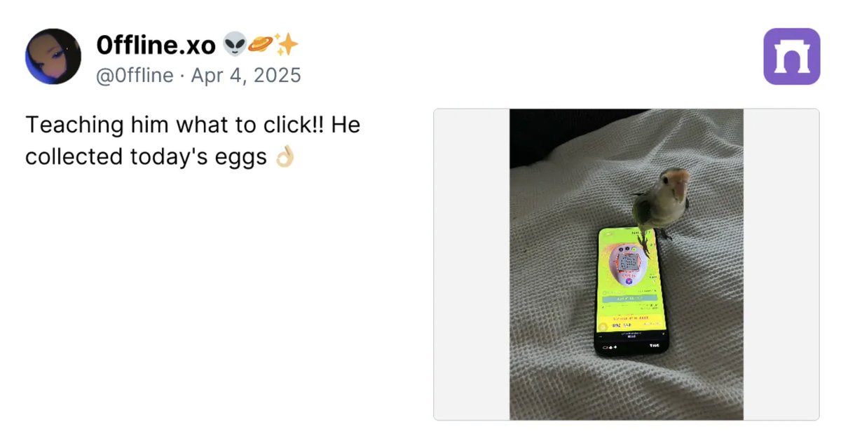 eggsfun tweet media