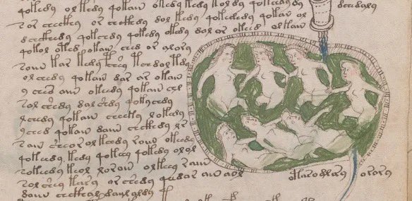 introducing the Voynich Manuscript, found in 1912 it’s believed to be around 600 years old but is written in a completely indecipherable language that has never been able to be solved :)