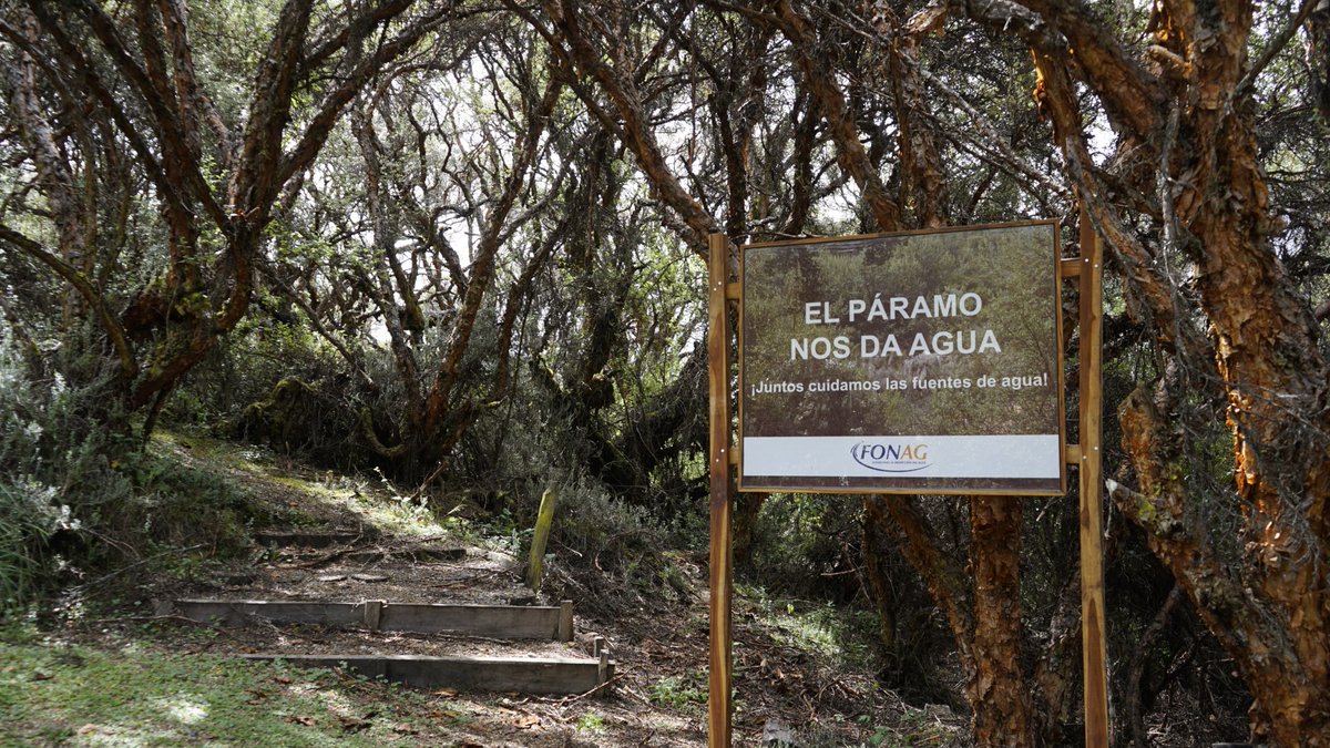 El Fondo para la Protección del Agua - #FONAG, fue creado hace 25 años para cumplir con una gran misión: proteger, conservar y restaurar las fuentes de agua para el Distrito Metropolitano de Quito.

Conoce el camino recorrido para su creación y el por qué de su gestión en nuestra