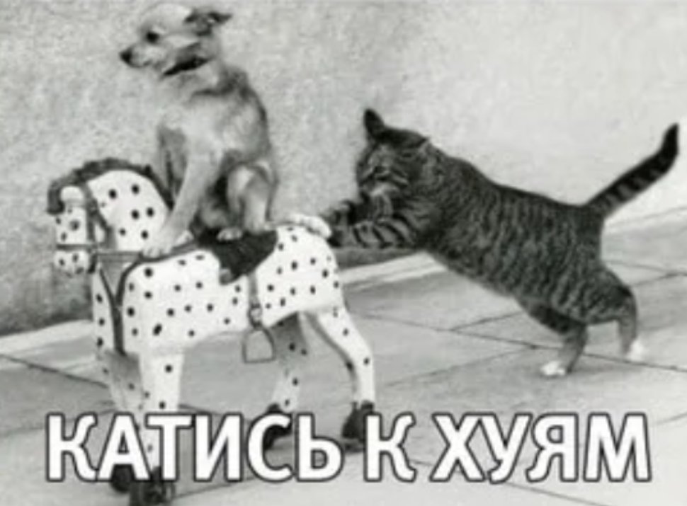 Фигура tweet media