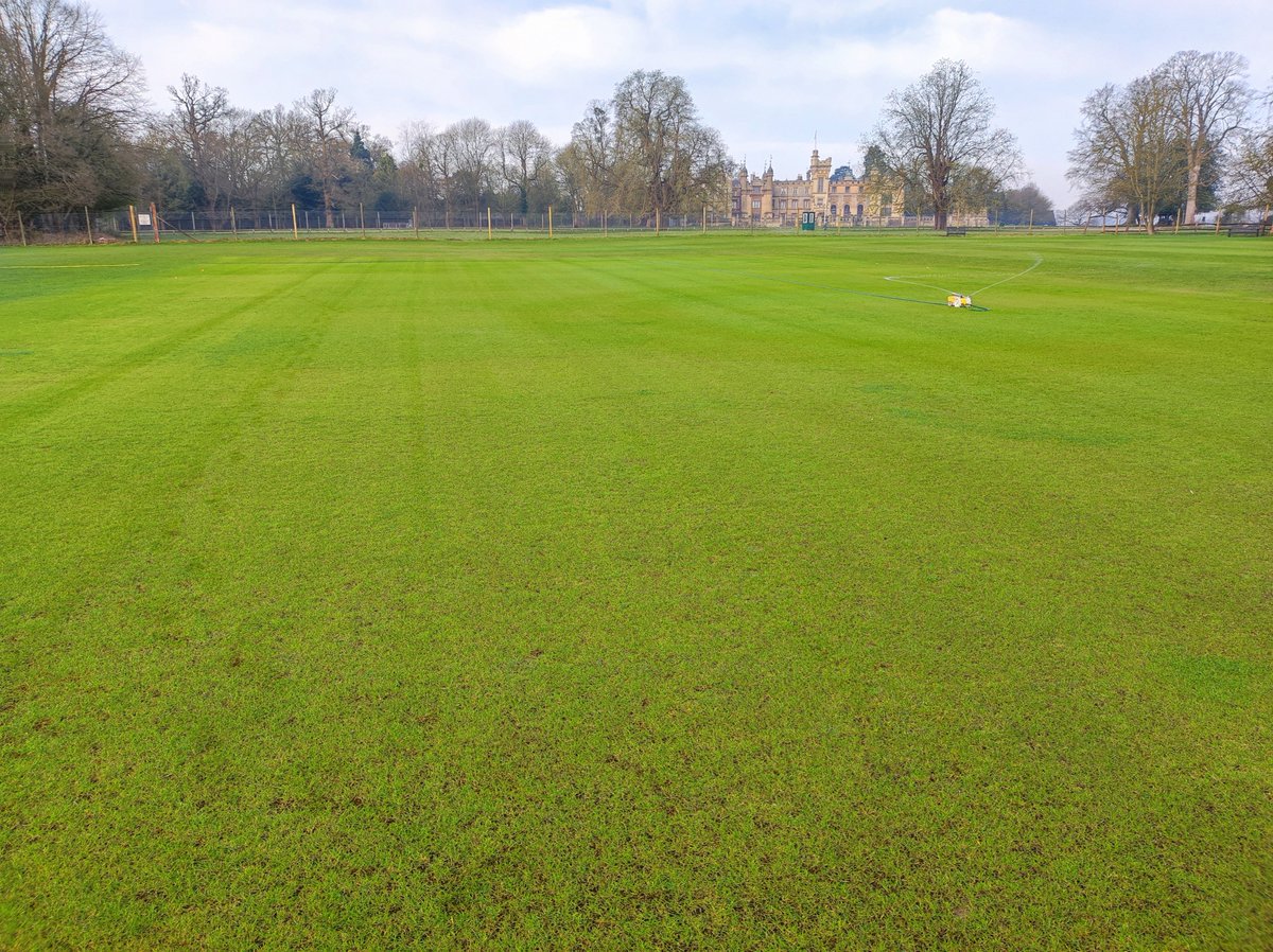 Terralift TX10 fertiliser taking effect along with water, warmth and all the winter tlc on squares at Knebworth Park Cricket Club 
as incredibly watering continues in this rare but enjoyable pre-season weather.