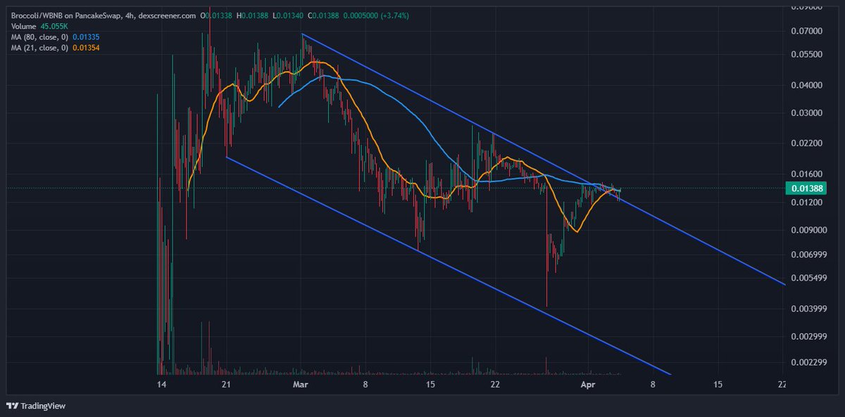 Who's ready?

<a href="/FirstBroccoli/">$Broccoli</a>