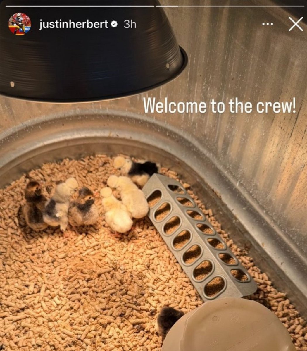 chargers's tweet photo. important herbo ranch updates https://t.co/RmLUXViKrJ