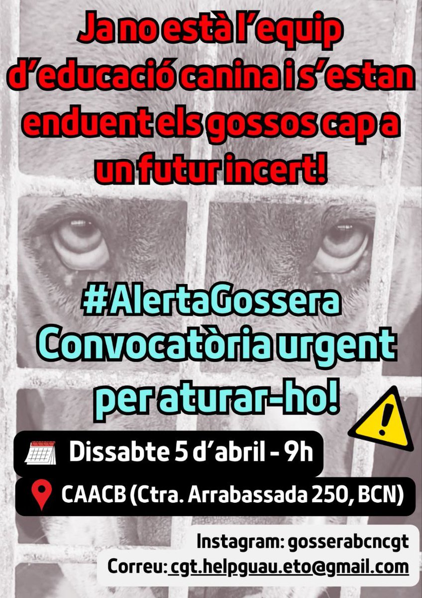 📢⚠️CONVOCATÒRIA URGENT: Els animals de la gossera de Baracelona estan en RISC EXTREM 📢‼️

Avui era l'últim dia de feina de les 8 educadores canines acomiadades per defensar els drets dels animals.