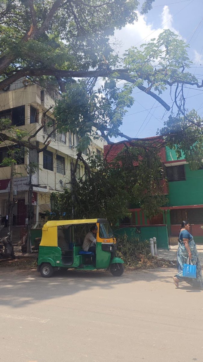 MrSumax's tweet photo. Huge 🌴 branch going to fall, Complaint given on 3rd April, no action. Senior citizen owned house in direct danger ⚠️please provide urgent resolution! @BBMPofficial claim they don't have crane @aranya_kfd
BBMP Complaint # 20705407
📍https://t.co/qysL1GbcCS
@Karnataka_DIPR https://t.co/JD6Wz1Uxdi
