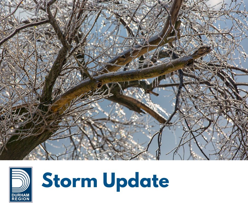 RegionofDurham's tweet image. 🚨 Storm Update: Residents should bundle smaller tree limbs for the Region's collection. Brush must be securely tied in bundles up to one metre (four feet) long and 76 centimetres (30 inches) wide. No branch should be more than 10 centimetres (4 inches) in diameter.#StormCleanup