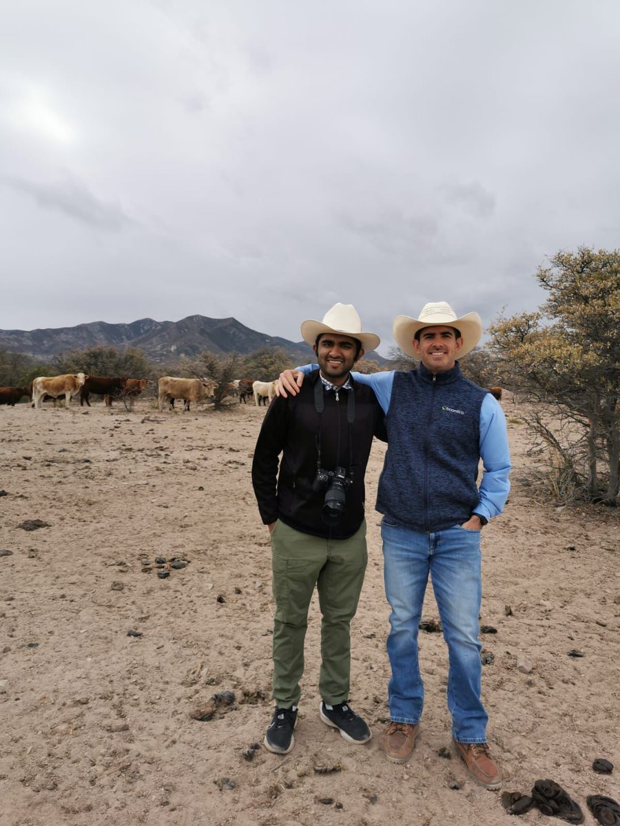 Boomitra tweet media