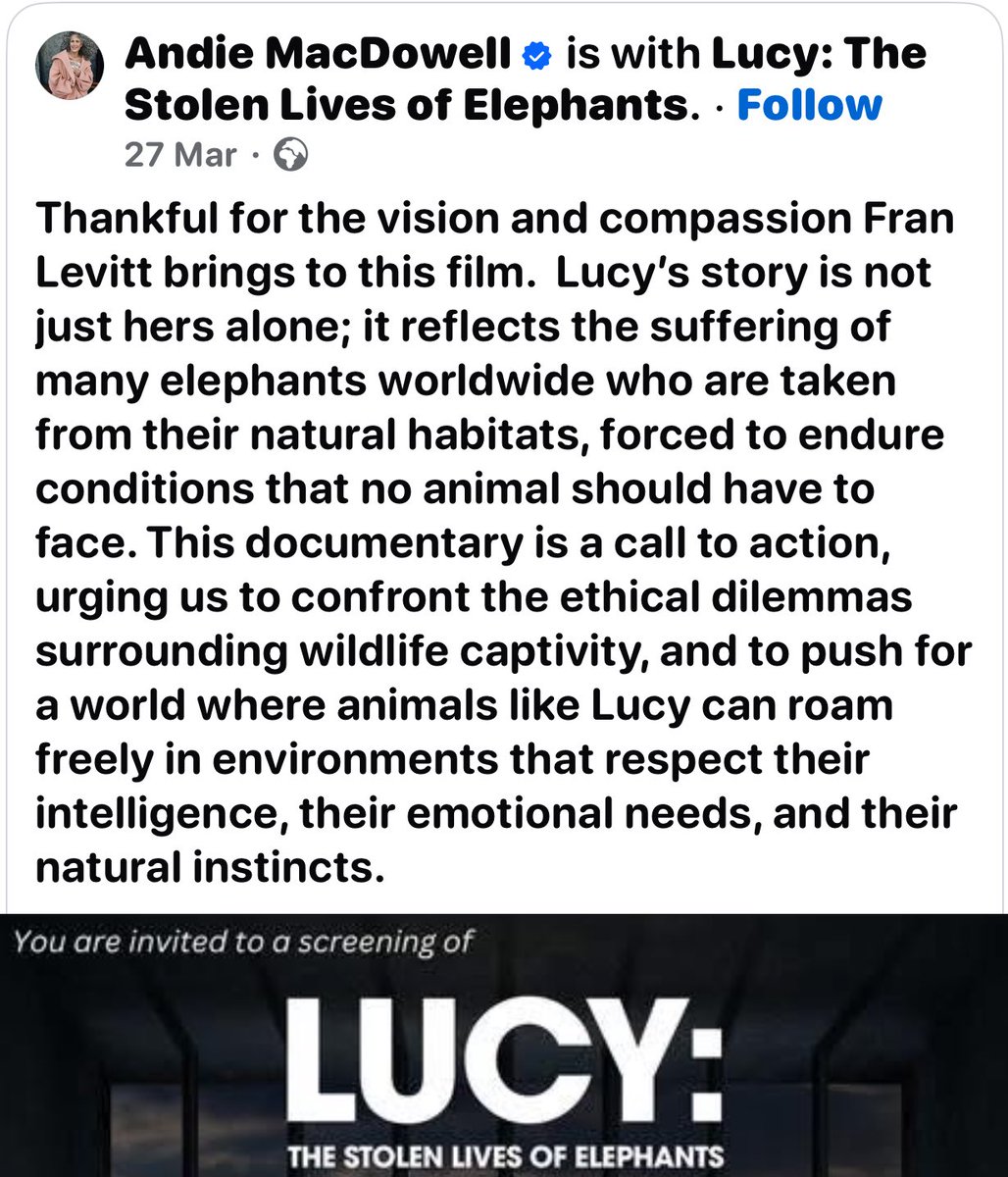 Hollywood actress Andie MacDowell is lending her support to Lucy: The Stolen Lives of Elephants.
You may remember her from her roles in Groundhog Day, Four Weddings and a Funeral, and Sex, Lies and Videotape. 
She currently stars in the TV series The Way Home.
We are so grateful