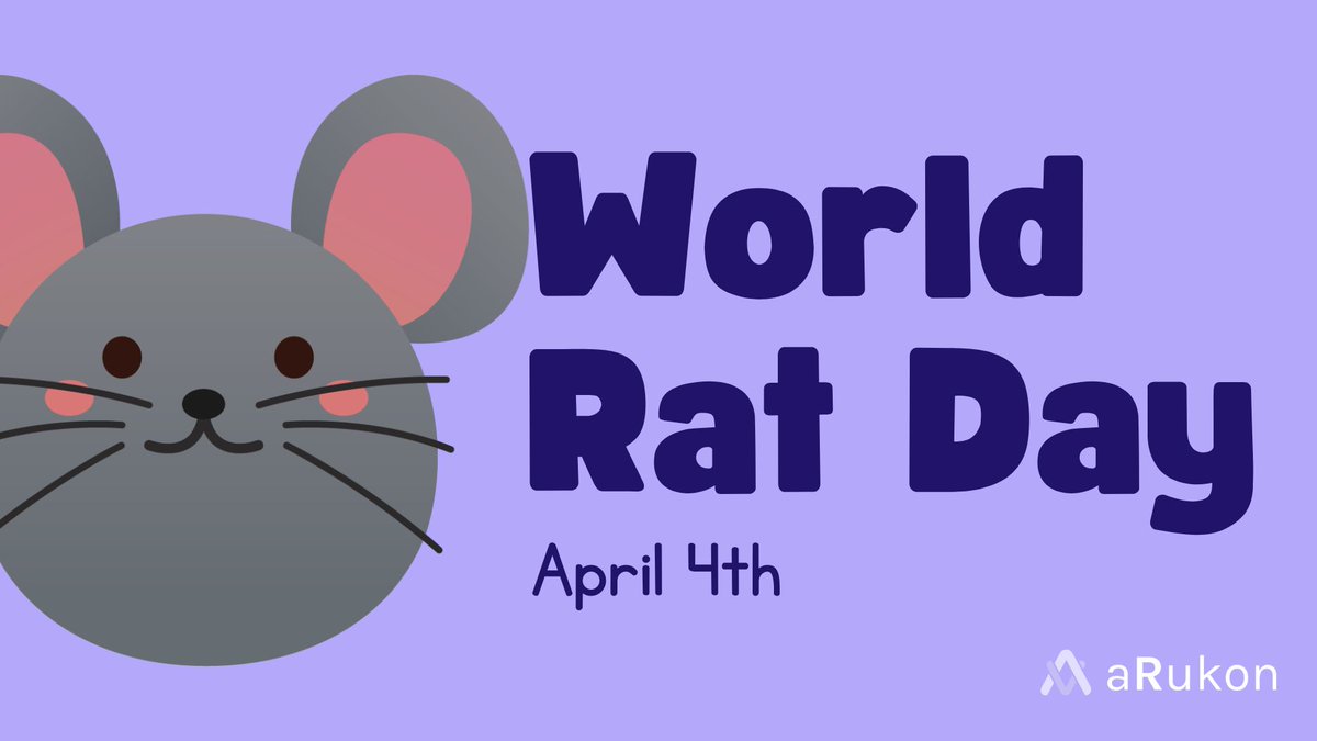 Today is #WorldRatDay 🐀

They are silent heroes of science—helping us understand cancer, Alzheimer’s, and more.

At #aRukon we honor their role by promoting sample reuse and ethical research.

#AnimalResearch #4Rs #Reuse #BiomedicalScience