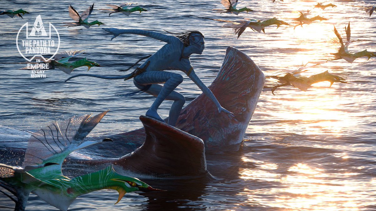 Neytiri (@neytiri) on Twitter photo 