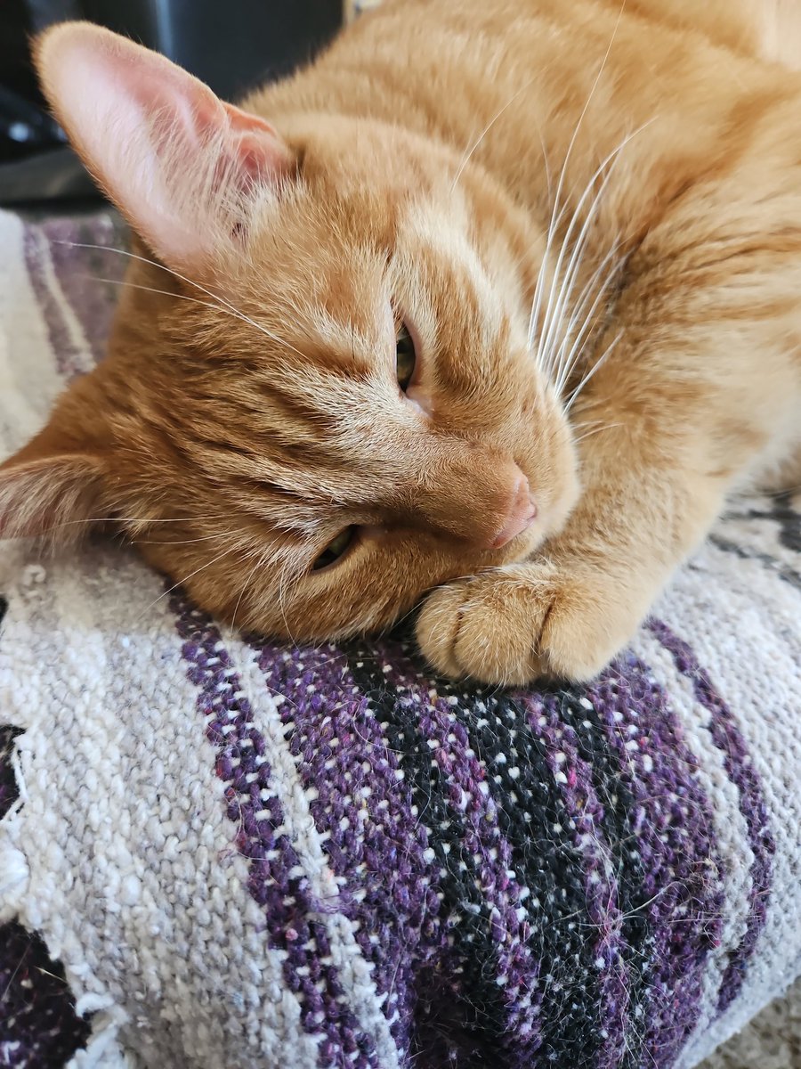 Is it nappy time yet? 💤