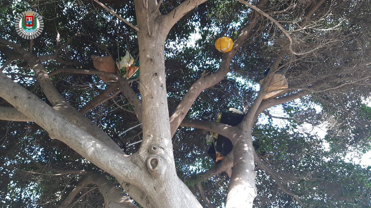 PoliciaLPA's tweet image. Unidad de Protección y Acompañamiento Local #UPAL 🚔 desmantela junto con @LimpiezaLPGC  punto de almacenaje de productos para su venta en el rastro