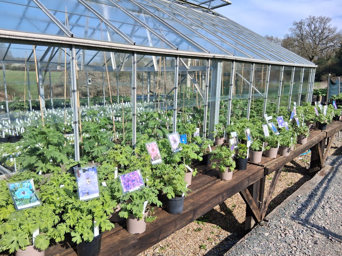 After a long winter we are open again for the 2025 season. Our new website is now live for all things delphiniums. homefarmco.uk <a href="/The_RHS/">The RHS</a> <a href="/RarePlantFair/">Rare Plant Fair</a> #peatfree.