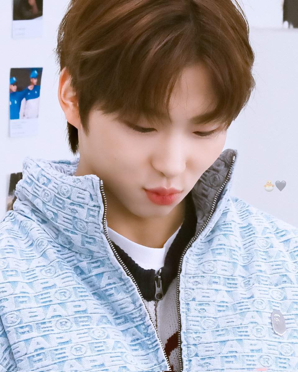 mingmengmong__'s tweet photo. 뚱쭝오리 🐣🦆🦢🐣🦆 https://t.co/N716bFtcXa