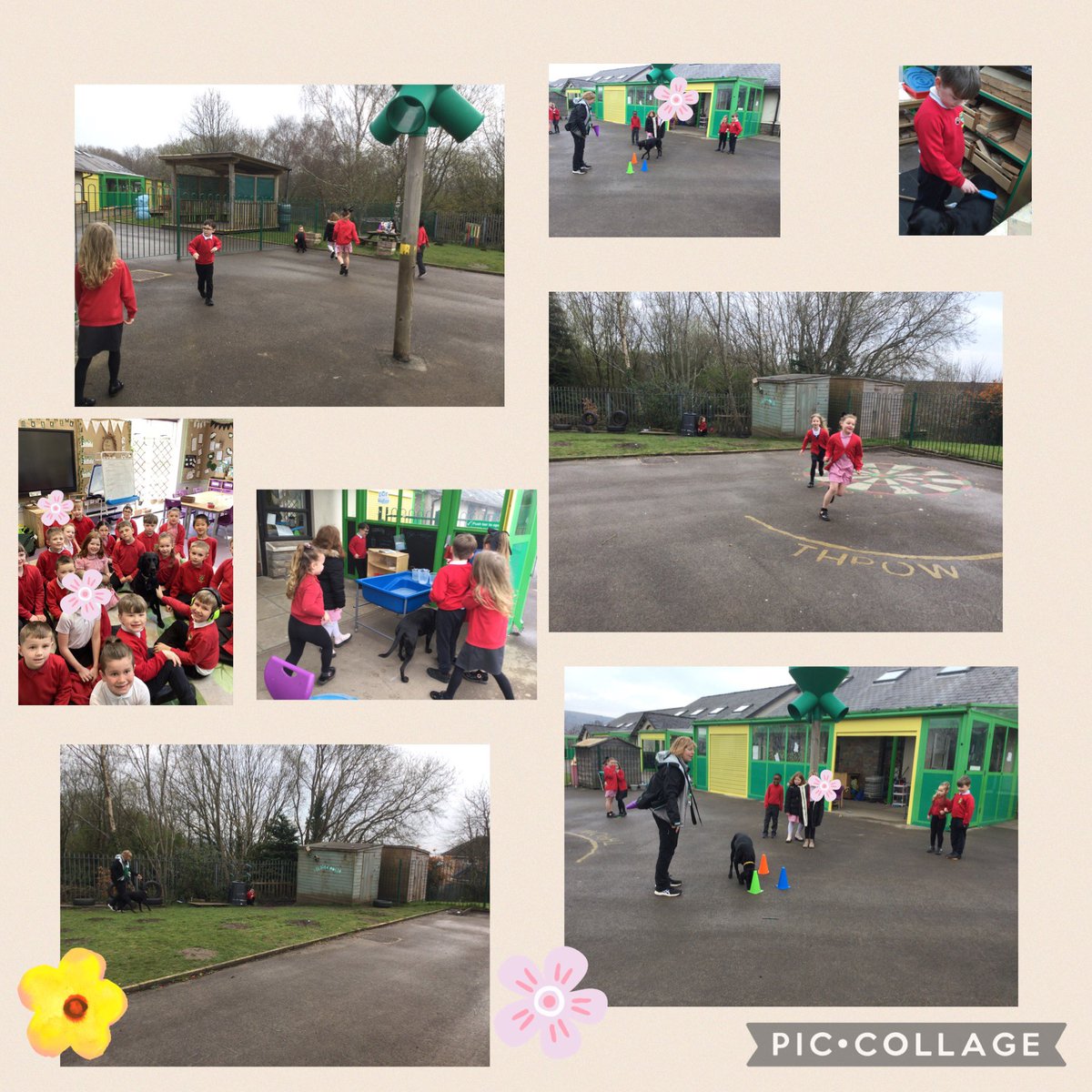 Dosbarth 5 have had a fun friends around Friday this week. It began with some wellbeing. We were #healthyconfidentindividuals and enjoyed time with the dog this morning 🐾🌟✨ <a href="/garntegprimary/">Garnteg Primary</a> <a href="/misssgilbey95/">@misssgilbey95</a>