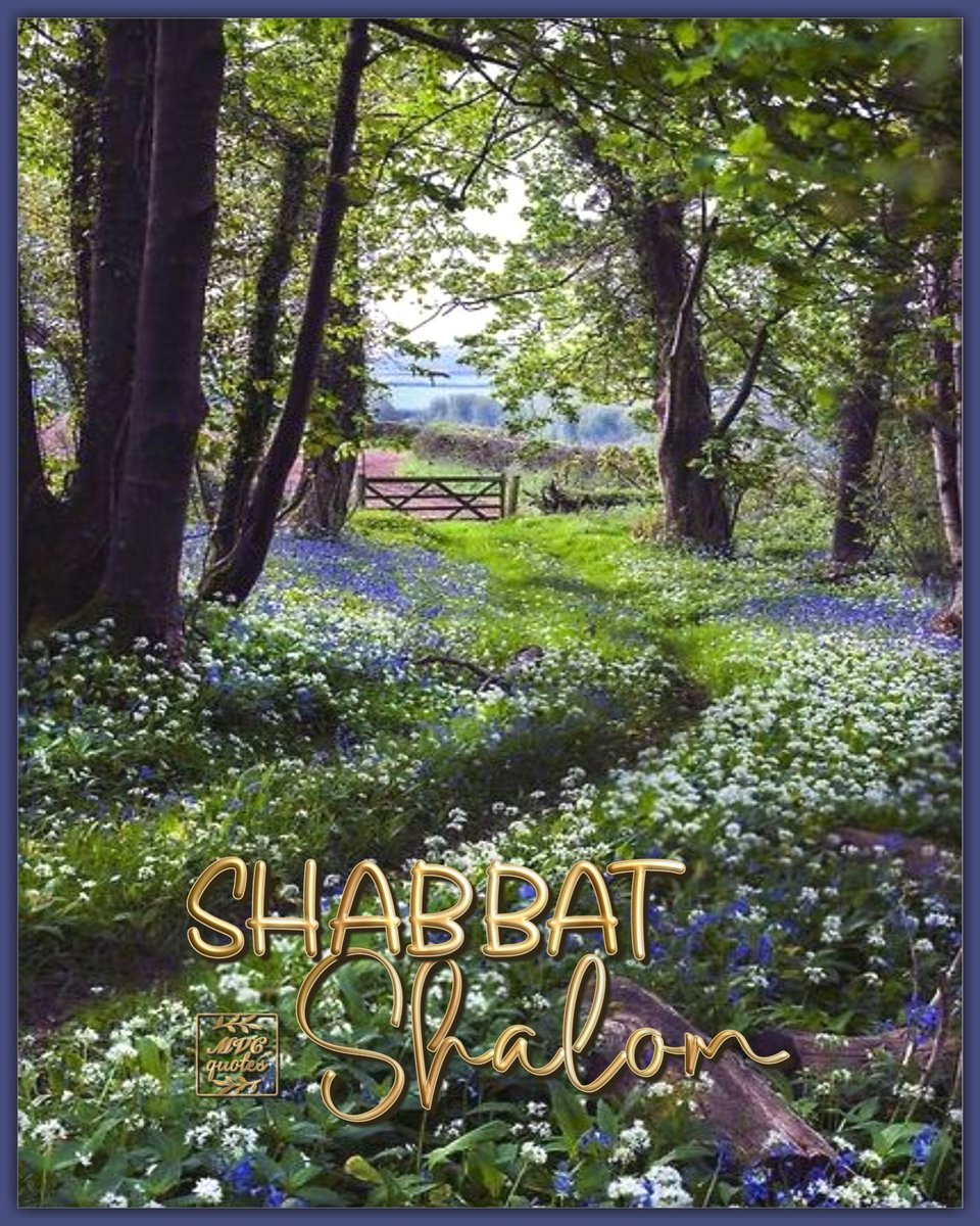 MVCquotes's tweet photo. Whichever day you picked as your seventh day, spending it with Father and keeping it Holy as He asked ― have a Blessed one.

#ShabbatShalom #mvcquotes #YHWH #AbbaFather #ALMIGHTYGOD #HOSTofHosts #AncientOfDays #YeshuaHaMashiach #MessiahJesusChrist #TheWayTruthLife
🌼🤗💛⚘🕊 https://t.co/wnTF4aA0r1