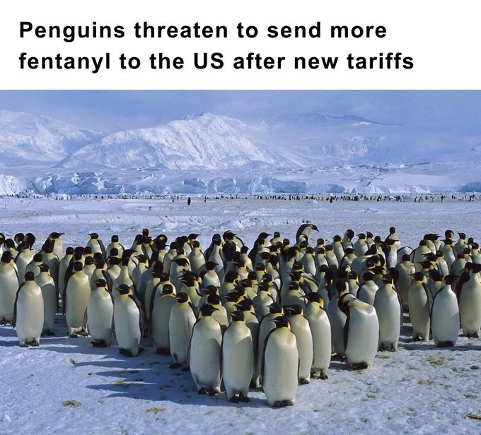 YourAnonNews's tweet photo. 🐧💊🐧💊 https://t.co/wI2nymTC2O